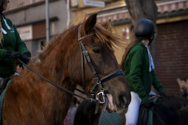 _DSC6659