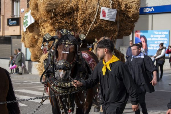 _DSC7429
