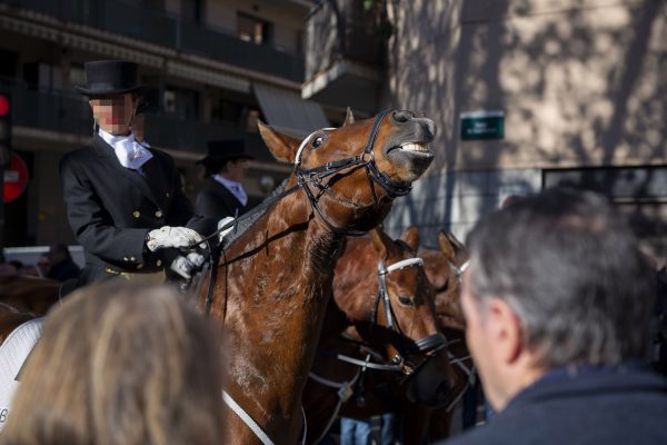 3T_Cerdanyola_2025_008