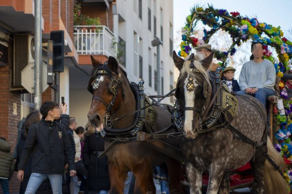 3T_Cerdanyola_2025_016