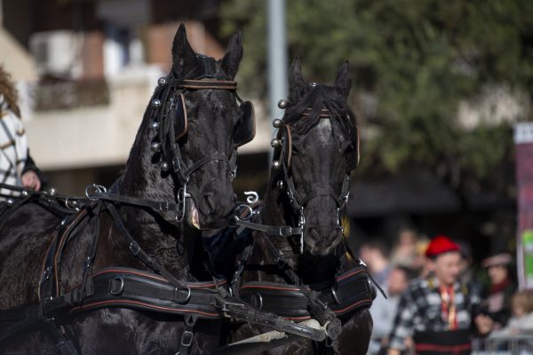 3T_Cerdanyola_2025_031