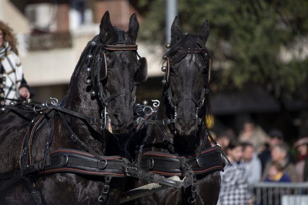 3T_Cerdanyola_2025_032