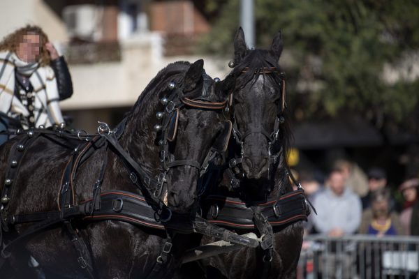 3T_Cerdanyola_2025_033