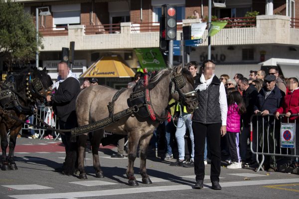 3T_Cerdanyola_2025_042