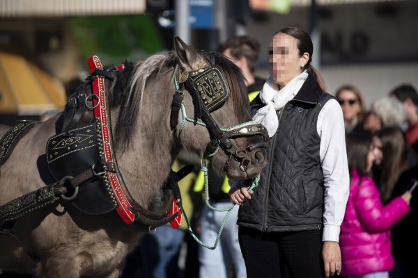 3T_Cerdanyola_2025_046