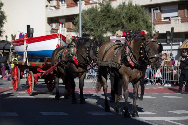 3T_Cerdanyola_2025_053