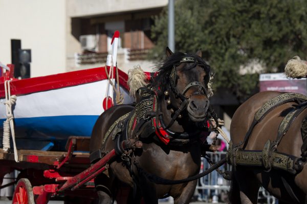 3T_Cerdanyola_2025_054