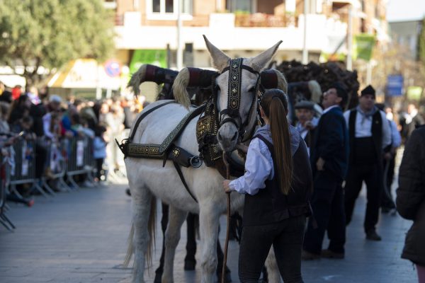 3T_Cerdanyola_2025_074