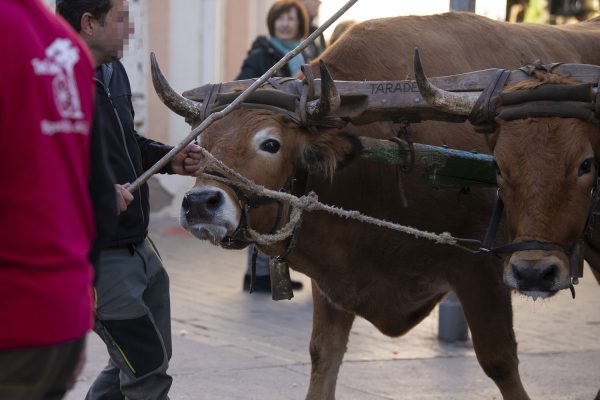 3T_Cerdanyola_2025_076