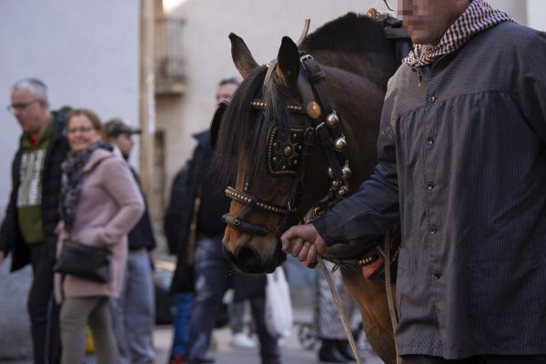 3T_Cerdanyola_2025_079